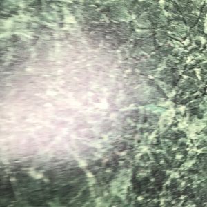 Bundle for silvierx73